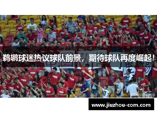 鹈鹕球迷热议球队前景，期待球队再度崛起！